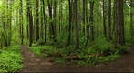 Hyland Park, Beaverton, Oregon