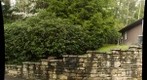 Stitch test backyard