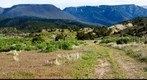 Saul's Meadow