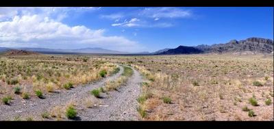 77491-400x189