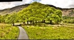 Derwent Water