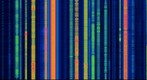 Broadcast Radio Spectrum 0 Hz to 1.8 MHz