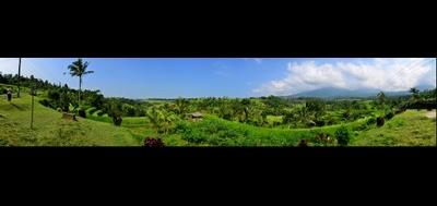 77640-400x189