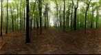 Dairy Bush GigaPan - 90 - May 19 2011