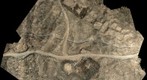 Cuchirrumi1 Sunken Plaza