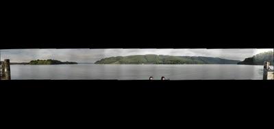77724-400x189