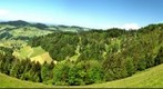 Near the Scheidegg ZH