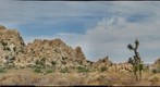 Joshua Tree; California, U.S.A.
