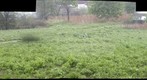 McCormick Bird Sanctuary, May 14, 2011