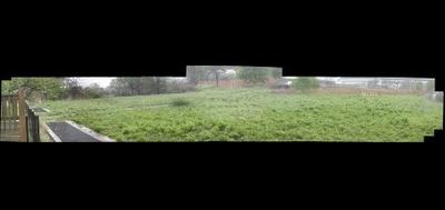 77796-400x189