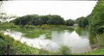 Lago Pressico - Cetraro
