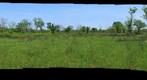Sagawau Mixed Grassland