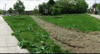 Manchester Community Garden