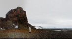 Wilczek Island, Franz Josef Land, Russian Federation