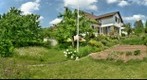 The Garden