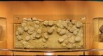 Phuket - Seashell Museum