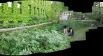Botany Pond, University of Chicago