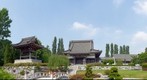 Japanischer Garten in Duesseldorf