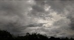 Dark Sky Over Kibale National Park