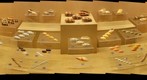 Phuket - Seashell Museum