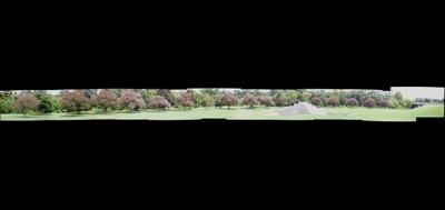 7815-400x189