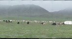 Nomad Camp