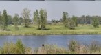 Komoka ponds - test