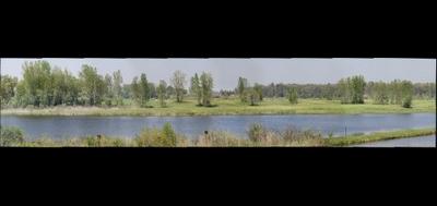 78165-400x189