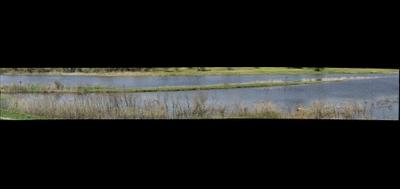 78166-400x189