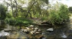 Elfin Forest Recreational Reserve (Lower Creek Crossing)