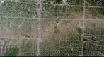 Joplin, Missouri (AP)