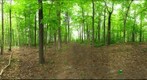 Dairy Bush GigaPan - 91 - May 25 2011