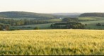 Europe, Luxemburg, Boudler Weydig Brouch