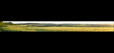 78226-400x189