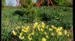 Minnesota Landscape Arboretum