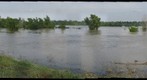 Mississippi River Flood Crest from the Levee, northern Louisiana, May 2011