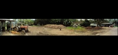 78381-400x189