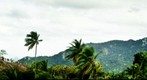 Mihinthale - 2010/08/30