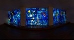 Chagall's America Windows - Three Panels from the Center