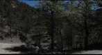 WC Trail 11