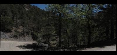78412-400x189