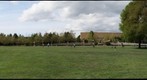 Bellevue Park, Bellevue Washington USA