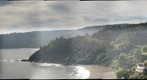 niebla 1