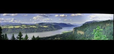 7847-400x189