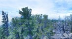 View From Starr Peak