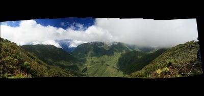 7849-400x189