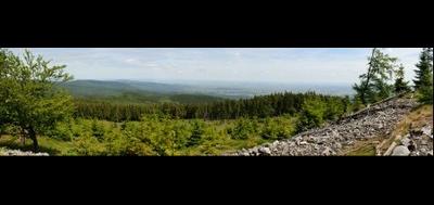 78530-400x189