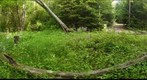 Bee House backyard
