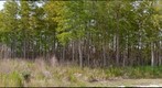 Culpepper Ranch (Location 1)