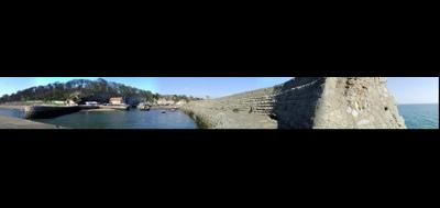 7862-400x189